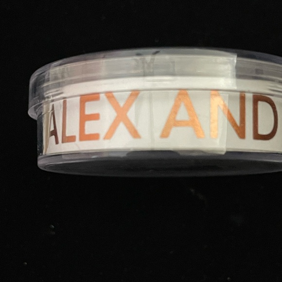 Alex and Ani Anchor Stud .925 Sterling Silver Post Earrings - Picture 5 of 10